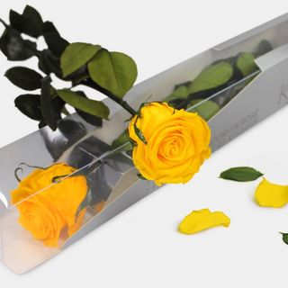 Rosa Preservada Amarilla