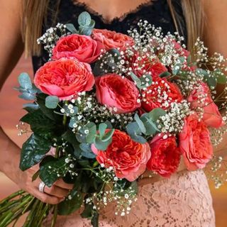 12 rosas pink expresion