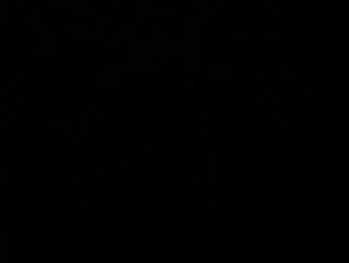 Arepa de mechada y queso