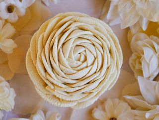 Flor de San Valentín Blanca