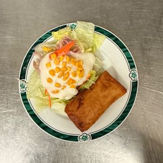 Ensalada y rollo de primavera