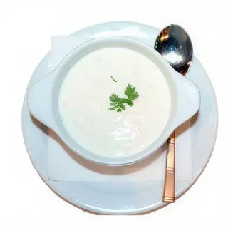 Dahi Plain