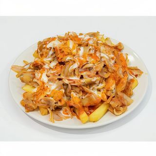 Plato Especial Sólo Carne