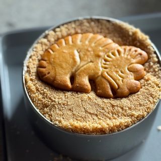 DINOSAURUS CHEESECAKE