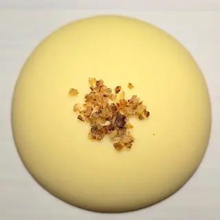 Donutx fit CARROT