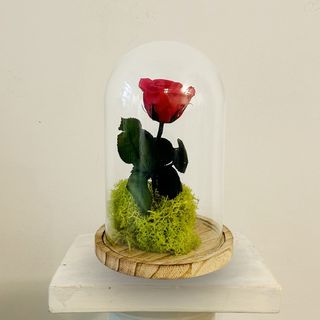 Cúpula Roja Eterna Sant Jordi