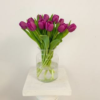 Ramo de 10 Tulipanes Morados Oscuro 