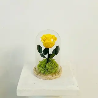 Cúpula de la Bella y la Bestia "Rosa Eterna Amarilla"
