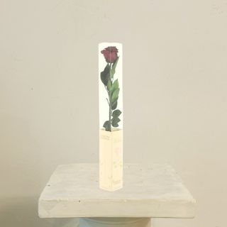 Rosa Burdeos Eterna Preservada