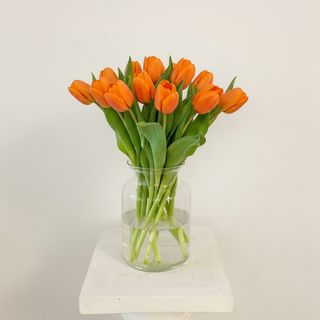 Ramo de 10 Tulipanes Naranjas