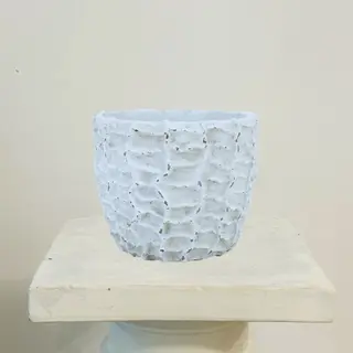 Maceta Kansas Blanca