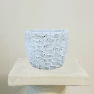 Maceta Kansas Blanca