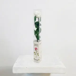 Rosa Blanca Eterna Preservada