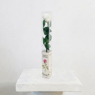 Rosa Blanca Eterna Preservada