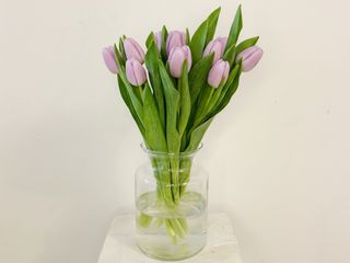 Ramo de 20 Tulipanes Morados "8M"