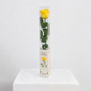 Rosa Amarilla Eterna Preservada