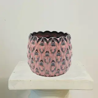 Maceta Stela Rosa