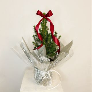 Arbol Mini Lazo Rojo 