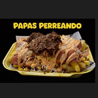 PAPAS PERREANDO