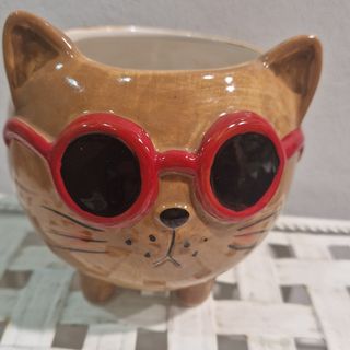 Maceta con cara de gato 