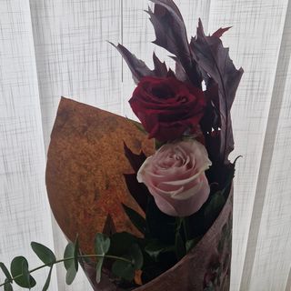 Dos rosas de dos colores