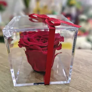 Rosa preservada con caja metacrilato