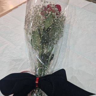 Rosa roja con lazo terciopelo negro