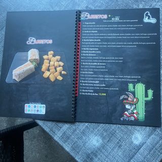Burrito birria de rex
