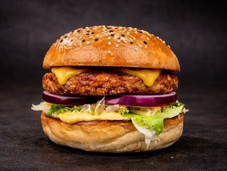 Burger Not Real Meat Vegie