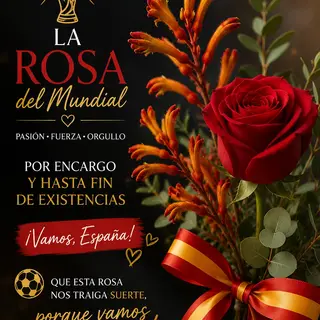 Rosa mundial