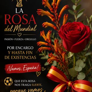 Rosa mundial