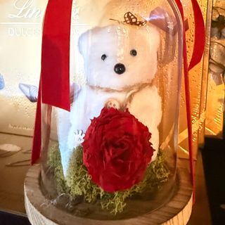 Oso con flor preservada en cúpula