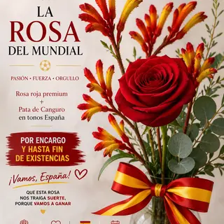 Rosa mundial