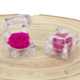 DIAMANTE CON FLOR PRSERVADA