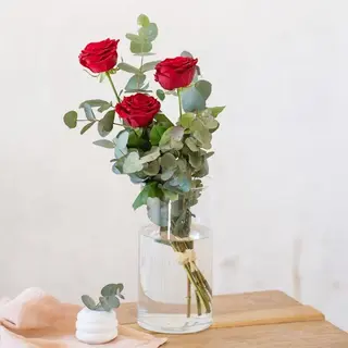 3 Rosas Rojas