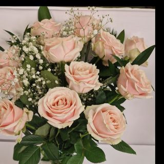 rosas en rosa