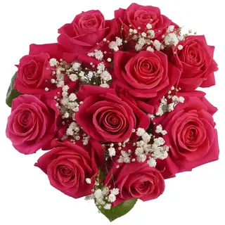 rosas fucsias