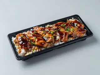 P6. Unagi Don