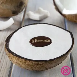 COCO HELADO