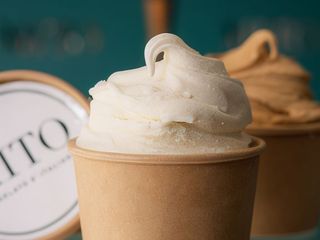 Gelato di Fiordipanna (500 Ml.)