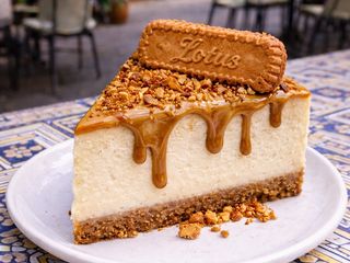  Big Cheesecake lotus 