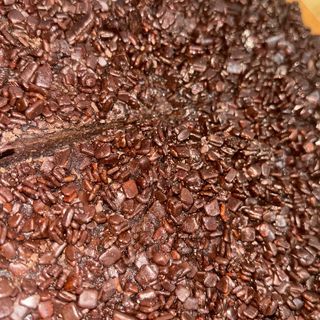 Muerte por ciocolate intera 