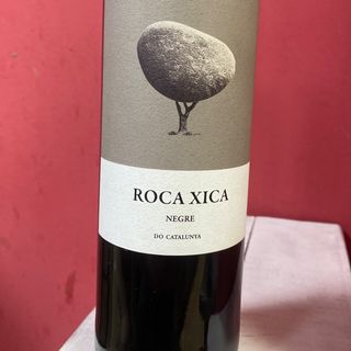 ROCA XICA NEGRE
