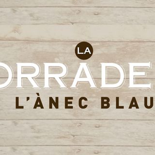 21. Sobrasada, queso brie y miel