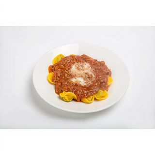 Bolognesa