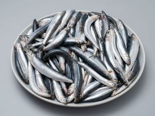 Boquerones fritos de vilanova