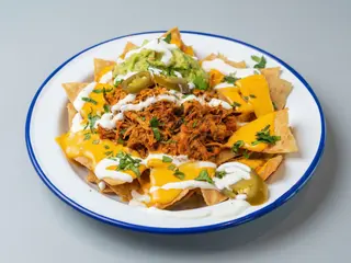Nachos Con Cochinita Pibil