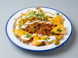 Nachos Con Cochinita Pibil