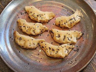 23.Gyozas de verduras selectas a la plancha