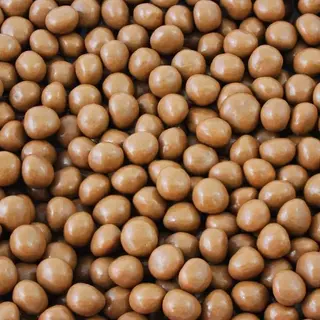 Conguitos Galleta Lacasa · Galleta Recubierta de Chocolate con Leche · Bolsa de 100 grs.